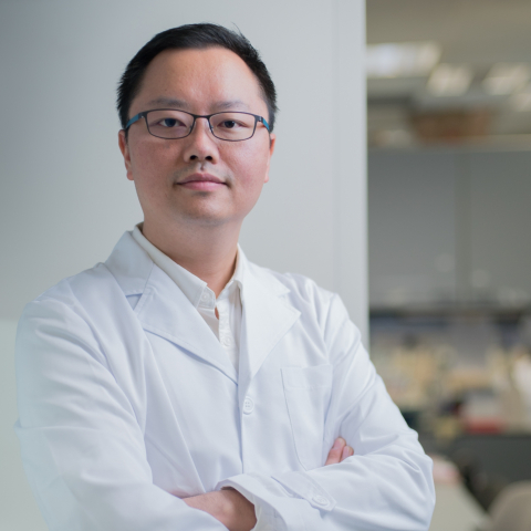 Prof. Xiang David Li