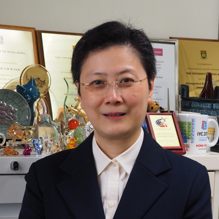 Prof YAM Vivian Wing-Wah
